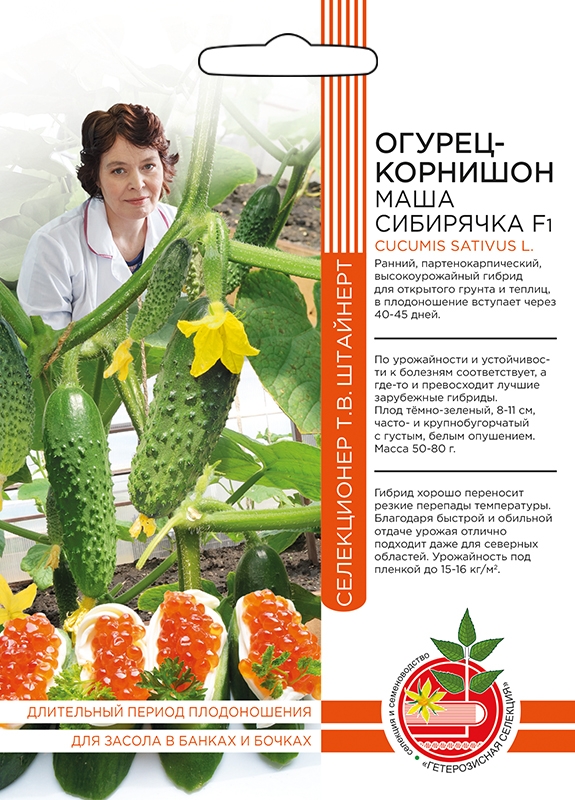 Огурец Маша Описание Отзывы Фото