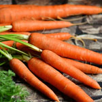 семена моркови фото