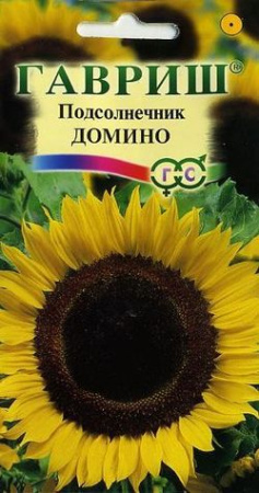 Подсолнечник декоративный Домино 0,5 г фото в интернет-магазине "Сортовые семена"