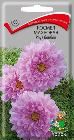 Космея махровая Роуз бонбон (ЦП) 0,1 фото в интернет-магазине "Сортовые семена"