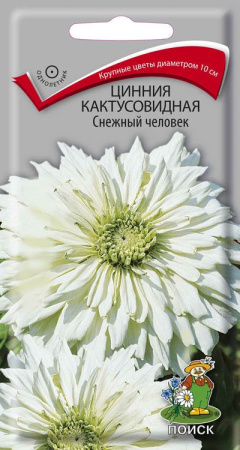 Цинния кактусовидная Снежный человек (ЦП) 0,4 фото в интернет-магазине "Сортовые семена"
