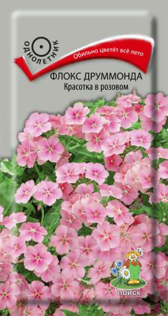 Флокс друммонда Красотка в розовом (ЦВ) ("1) 0,1гр. фото в интернет-магазине "Сортовые семена"