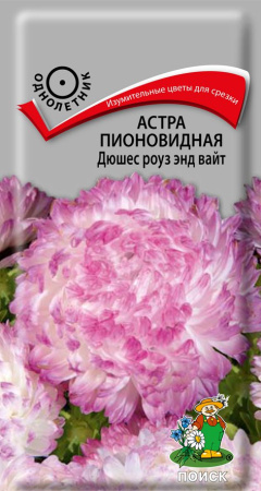 Астра пионовидная Дюшес роуз энд вайт (ЦП) 0,3 фото в интернет-магазине "Сортовые семена"