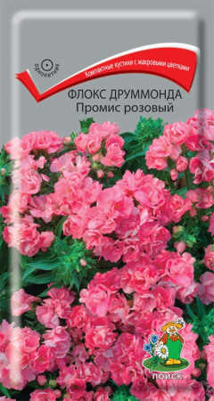 Флокс друммонда Промис розовый (ЦВ) ("1) 10шт. фото в интернет-магазине "Сортовые семена"