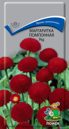 Маргаритка помпонная Ред (ЦП) 0,05 фото в интернет-магазине "Сортовые семена"