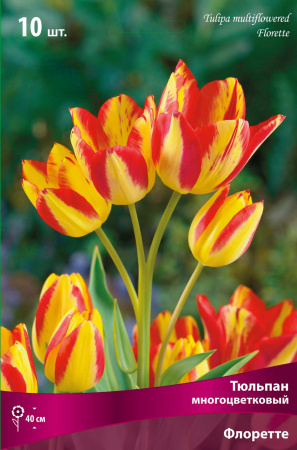 Тюльпан многоцветковый Флоретте фото в интернет-магазине "Сортовые семена"