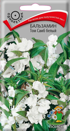 Бальзамин Том Самб белый ( ЦВ) ("1) 0,1гр. фото в интернет-магазине "Сортовые семена"