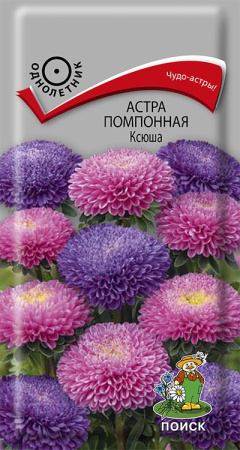 Астра помпонная Ксюша (ЦП) 0,3 фото в интернет-магазине "Сортовые семена"