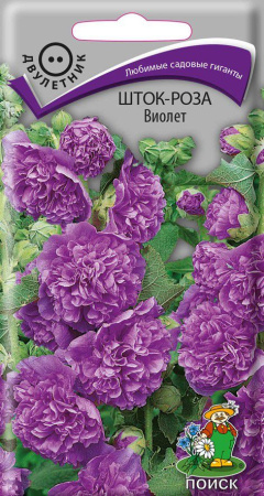 Шток-роза Виолет (ЦП) 0,1 фото в интернет-магазине "Сортовые семена"