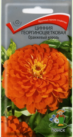 Цинния георгиноцветковая Оранжевый король фото в интернет-магазине "Сортовые семена"