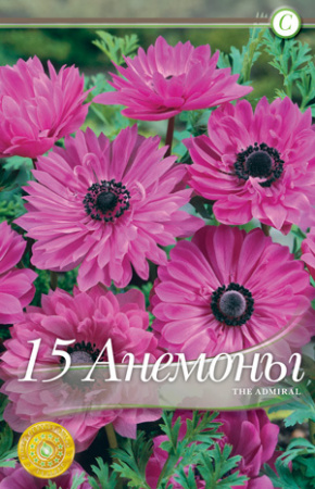 Анемона венечная Адмирал фото в интернет-магазине "Сортовые семена"