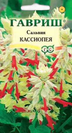 Сальвия Кассиопея*, карликовая  5 шт. фото в интернет-магазине "Сортовые семена"