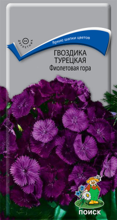Гвоздика Турецкая Фиолетовая гора (ЦП) 0,25 фото в интернет-магазине "Сортовые семена"