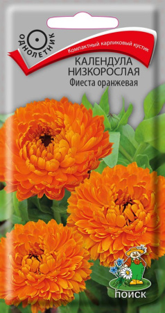 Календула низкорослая Фиеста оранжевая (ЦП) 0,3 фото в интернет-магазине "Сортовые семена"
