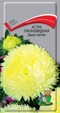 Астра пионовидная Дюшес желтая (ЦП) 0,3 фото в интернет-магазине "Сортовые семена"