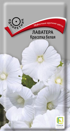 Лаватера Красотка белая (ЦП) 0,3 фото в интернет-магазине "Сортовые семена"