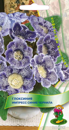Глоксиния Импресс Синие чернила (ЦП) 5 фото в интернет-магазине "Сортовые семена"