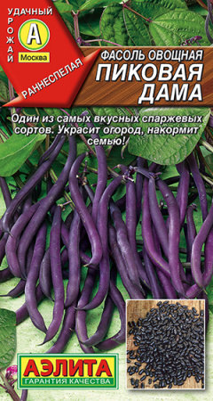 Фасоль овощная Пиковая дама --- фото в интернет-магазине "Сортовые семена"
