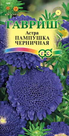 Астра Пампушка черничная 0,3 г, помпонная фото в интернет-магазине "Сортовые семена"
