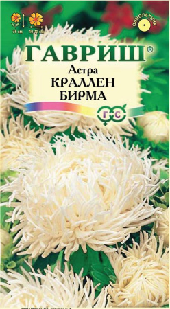 Астра Краллен Бирма кремово-белая 0,3 г, коготковая фото в интернет-магазине "Сортовые семена"