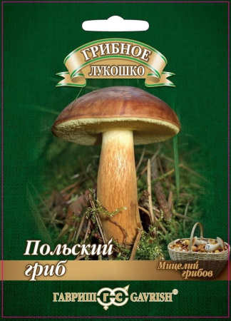 Польский гриб на зерновом субстрате, больш. пак. 15 мл фото в интернет-магазине "Сортовые семена"