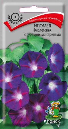 Ипомея Фиолетовая с пурпурными стрелами (ЦП) 0,5 фото в интернет-магазине "Сортовые семена"