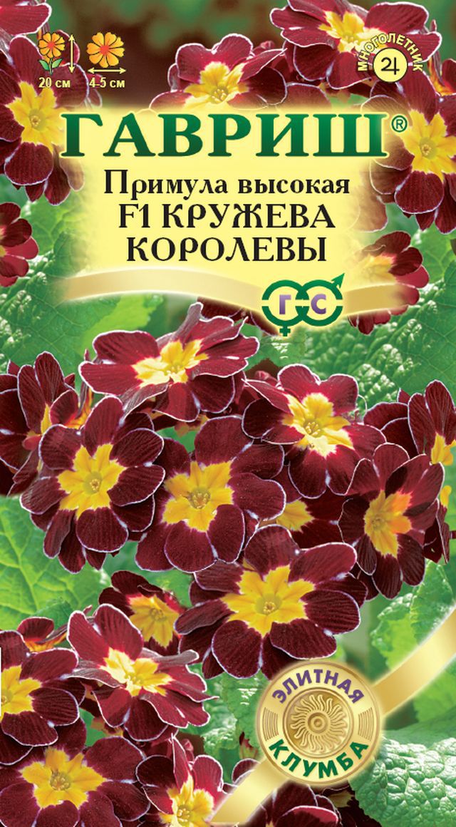 Семена Примула Высокая Кружева Королевы 5шт - купить семена почтой в Украине | 6 СОТОК