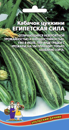 Кабачок Египетская сила® - цуккини (УД) Е/П фото в интернет-магазине "Сортовые семена"