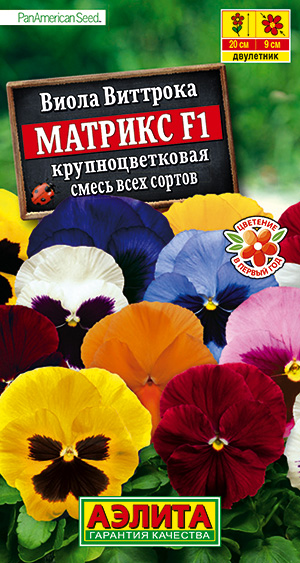 Виола Матрикс F1 крупноцветковая, смесь всех сортов ---   Дв Сел. PanAmerican Seed фото в интернет-магазине "Сортовые семена"