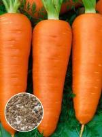 Морковь Ред Кор (1 кг)