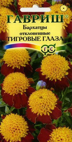 Бархатцы Хризантемовидные Купид