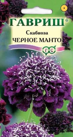 Скабиоза пурпурная Чёрное манто, махровая Гавриш - купить семена в ...