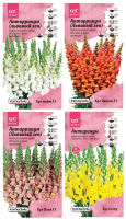 Фото Антирринум Кул F1 PanAmerican Seed, Набор_1 (4 уп-ки) , АСТ