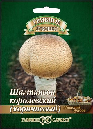 Шампиньон Коричневый на зерновом субстрате, больш. пак. 15 мл фото в интернет-магазине "Сортовые семена"