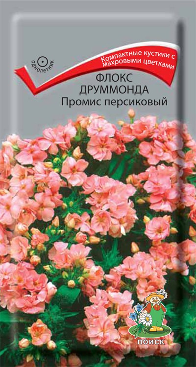 Магазин Флокс Семена