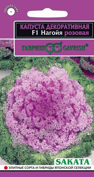Капуста декоративная Нагойя розовая F1 Гавриш - купить семена в интернет-магазине