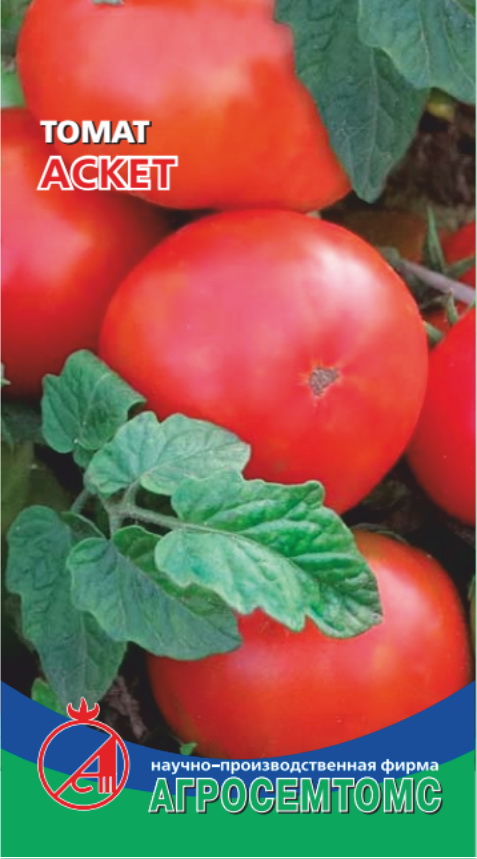 томат характеристика семян