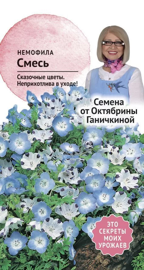 Семена Немофилы Фото