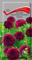 Космея махровая кнопка Бордовая (ЦП) 0,1