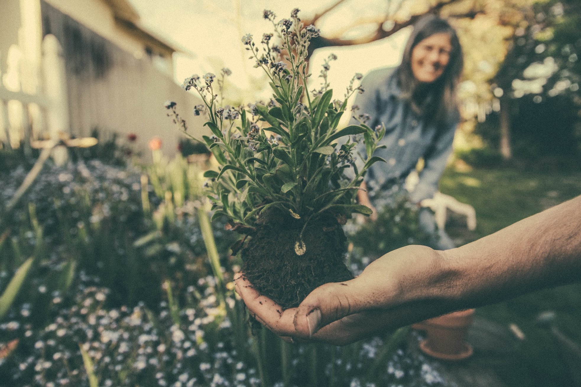 20 причин заняться садоводством, даже если Вы думаете это не для Вас
