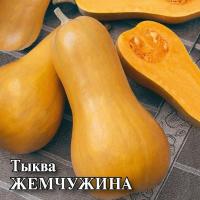 Тыква мускатная Жемчужина фермерская фас. 25г