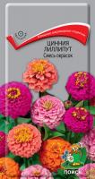 Цинния лиллипут Смесь окрасок