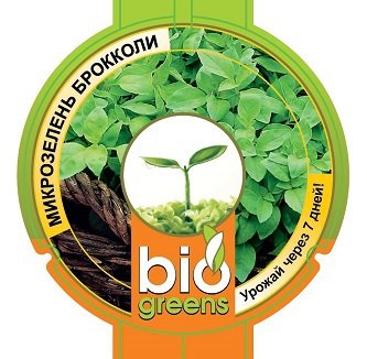 Комплект Свежая зелень (лоток для проращивания) семена брокколи в подарок фото в интернет-магазине "Сортовые семена"