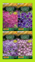 Флокс друммонда Попстарс F1 Floranova, Набор_1 (4уп-ки), АЭ