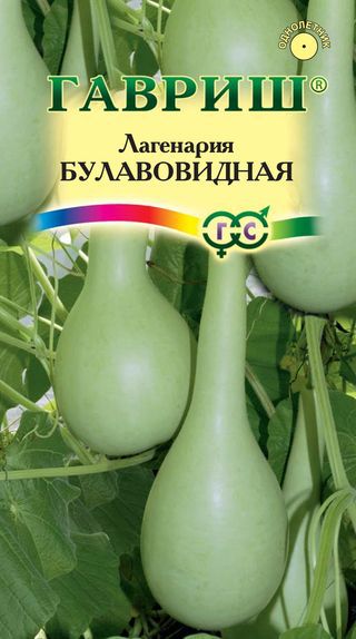 Лагенария Булавовидная 5 шт фото в интернет-магазине "Сортовые семена"