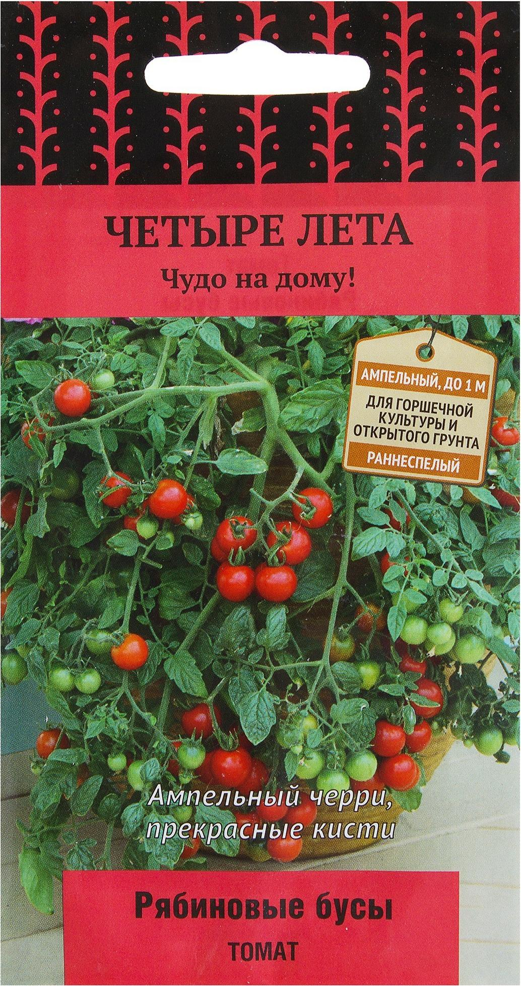 Бусы томата. Ампельный томат Рябиновые бусы. Томаты Рубиновые бусы ампельные. Томат черри Рябиновые бусы ампельный. Ампельные томаты черри.