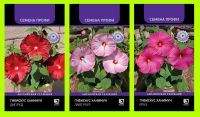 Фото Гибискус ХанниМун F1 Floranova, Набор_1 (3уп-ки), ПСК