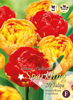 Тюльпан Миранда/Дабл Бьюти оф Апельдорн Микс фото в интернет-магазине "Сортовые семена"
