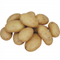 Семена картофеля в интернет -магазине "Сортовые семена"
