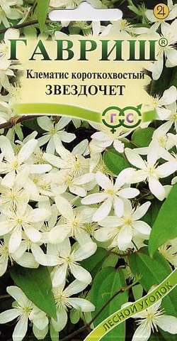 Клематис короткохвостый Звездочет 0,05 г фото в интернет-магазине "Сортовые семена"